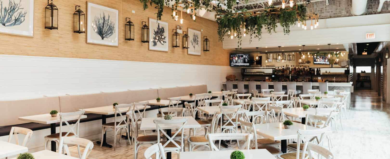 Live Music at Our Hotel